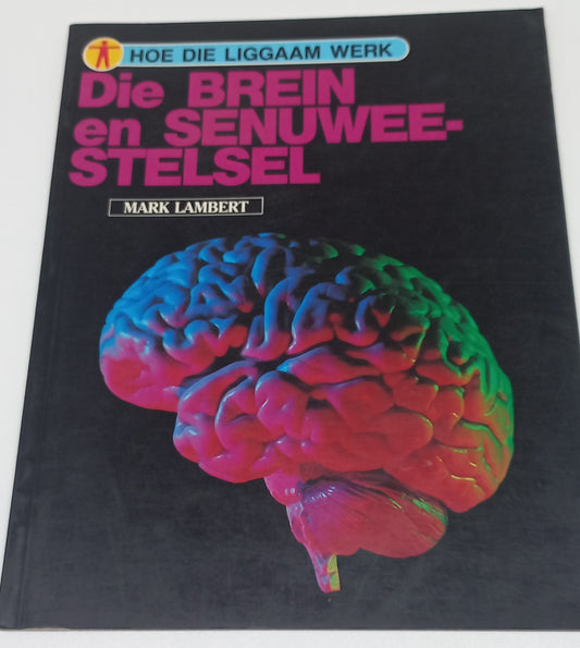 Die Brein en Senuweestelsel