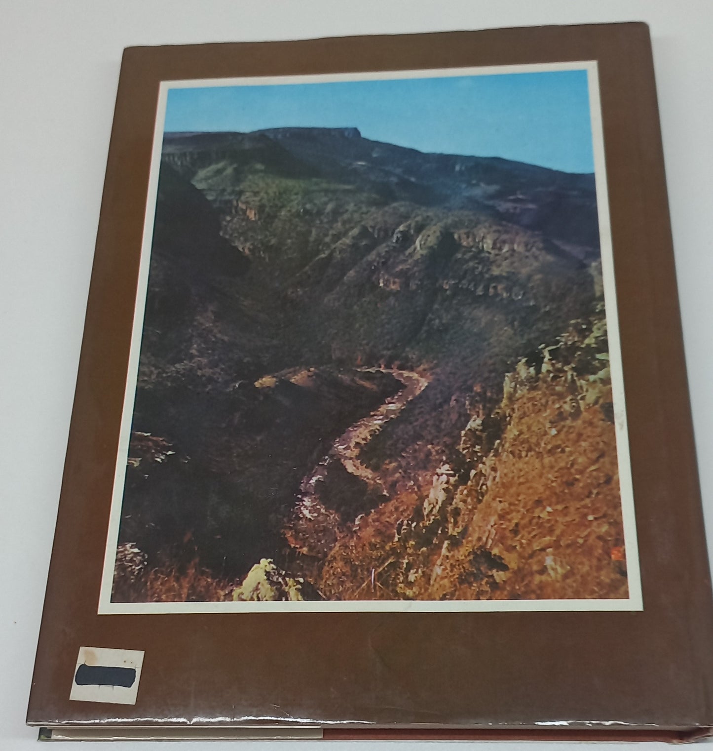 Valley of Gold By A.P. Cartwright