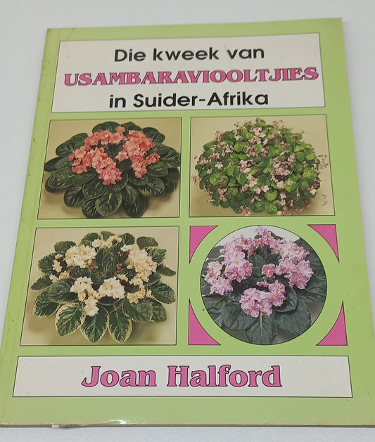 Die Kweek van Usambaraviooltjies in Suider-Afrika