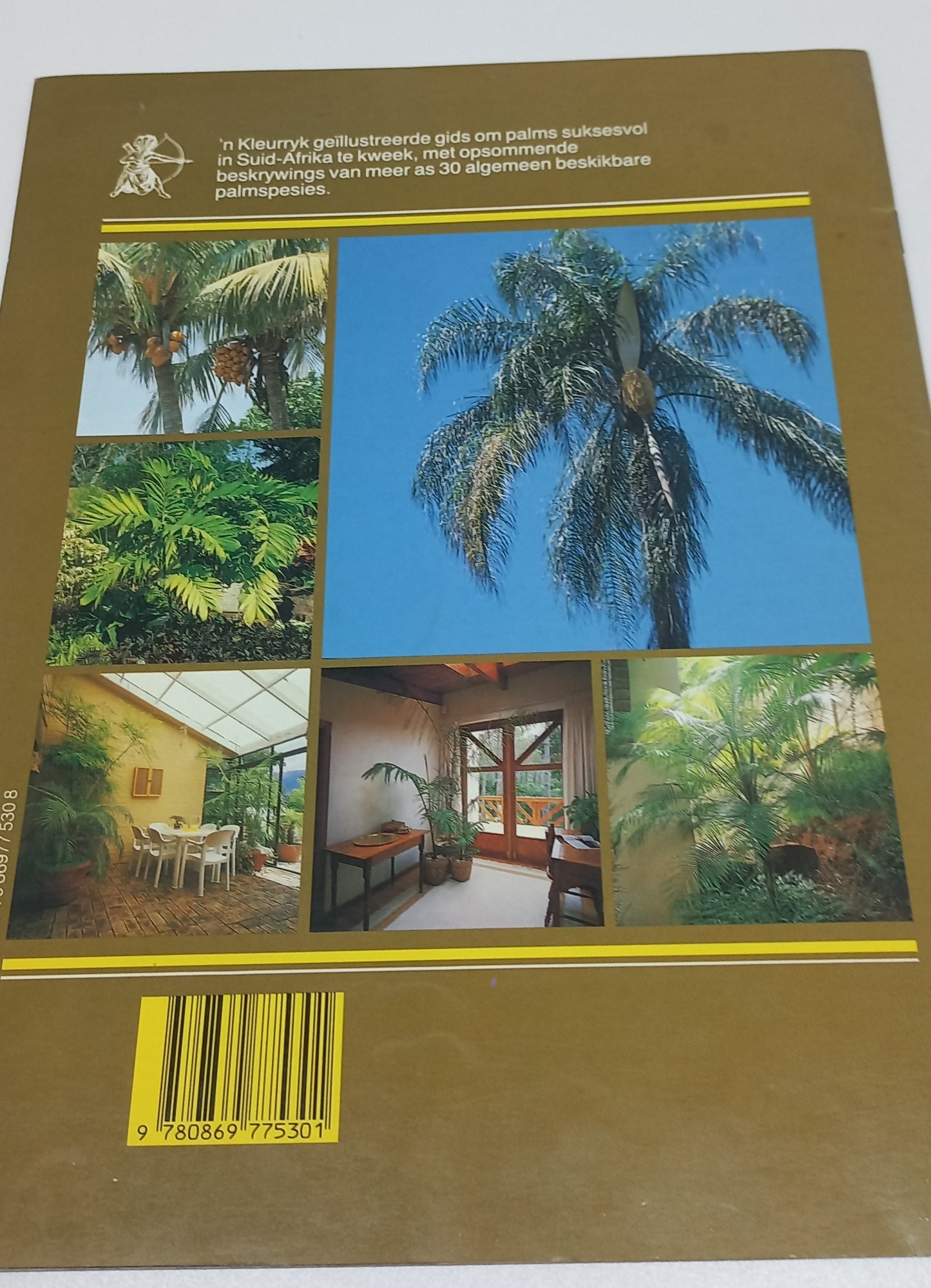 Palms - Afrikaans