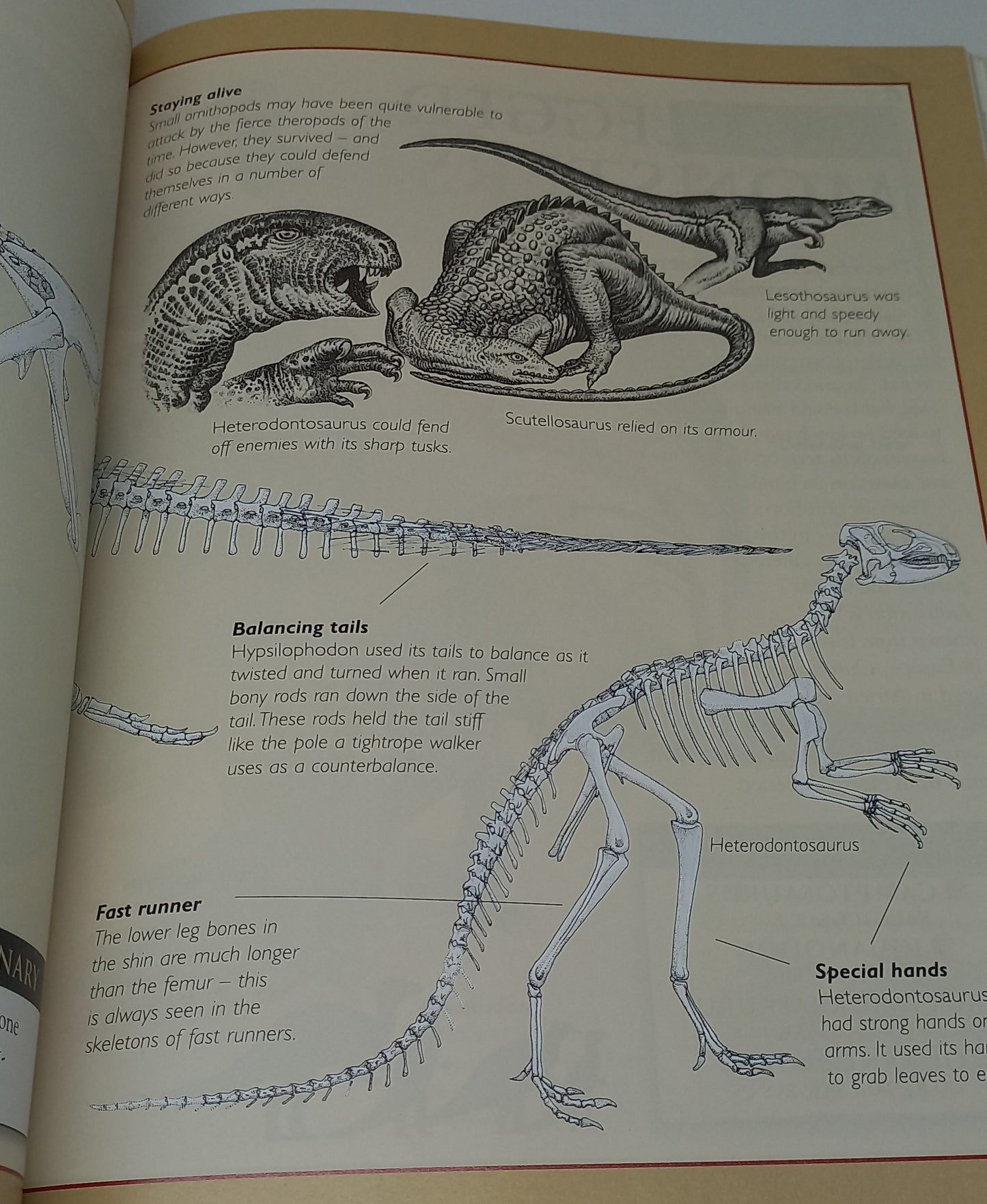 The Great Book of Dinosaurs