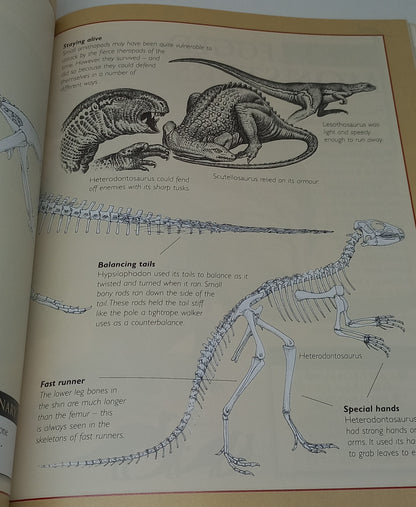 The Great Book of Dinosaurs