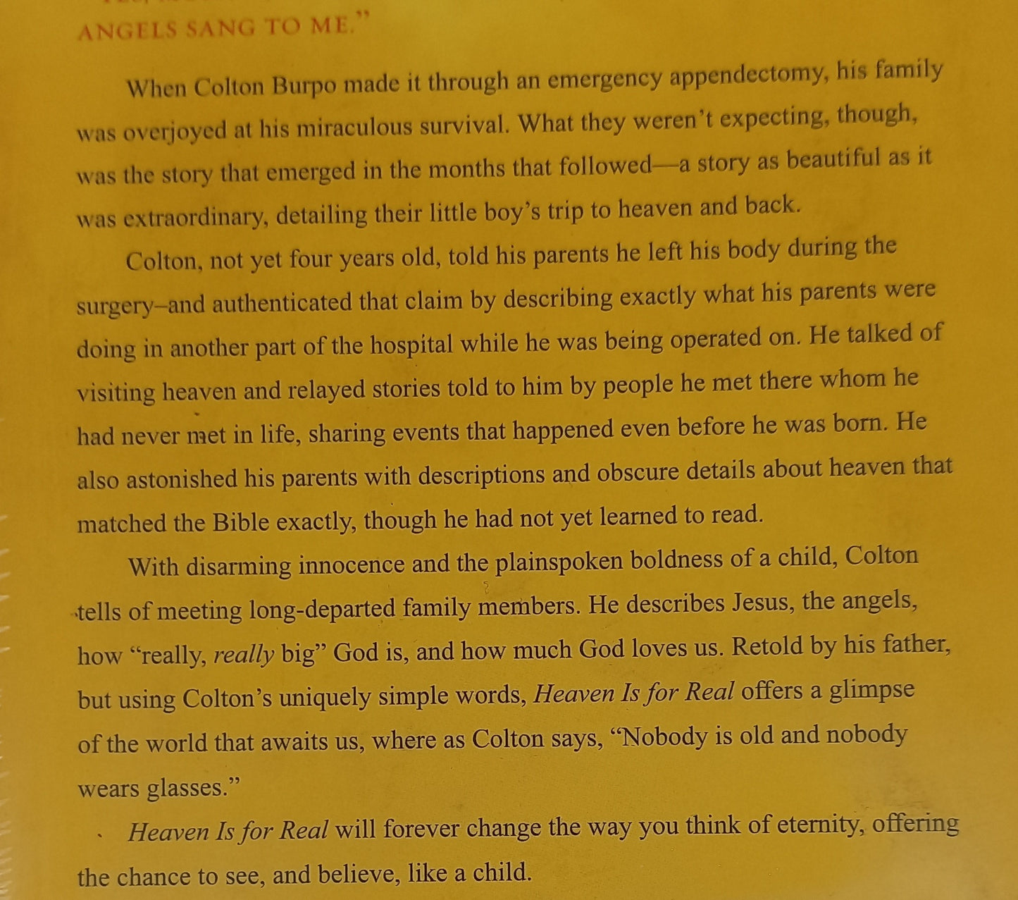 Heaven is For Real by Todd Burpo & Lynn Vincent