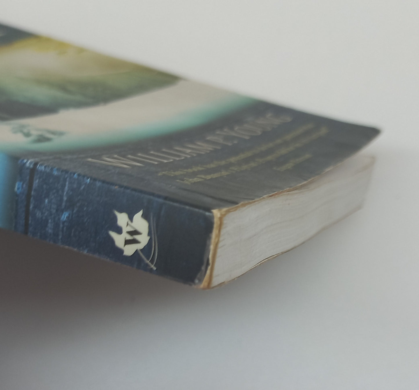 The Shack: Where Tragedy Confronts Eternity by William P. Young