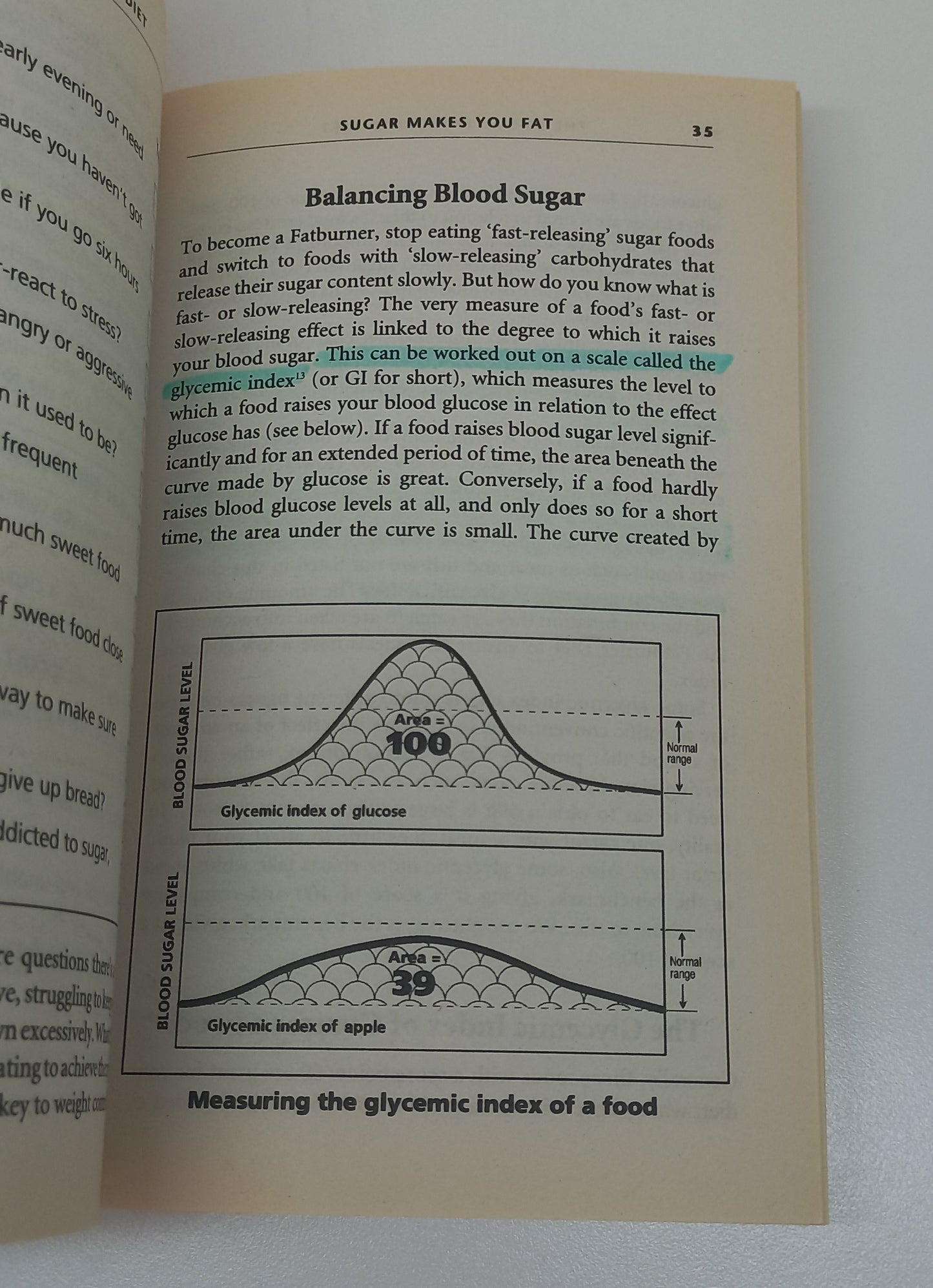 The 30 Day Fat Burner Diet