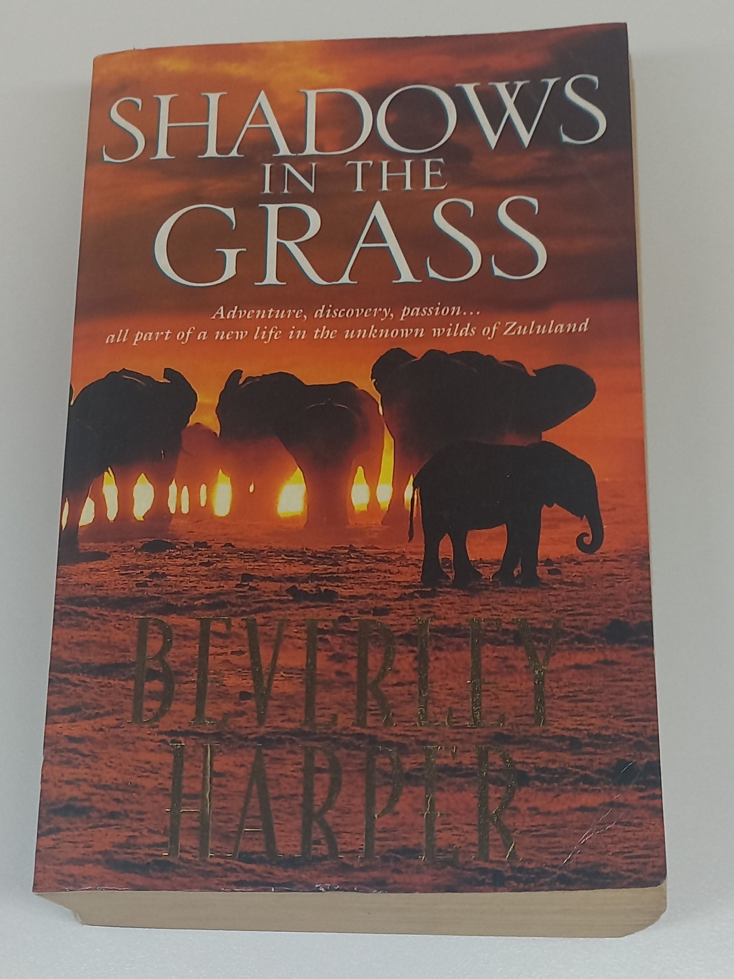 Shadows in the Grass