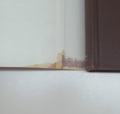 The Third Life by Caroline Gray