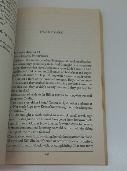 Inside Story: A novel by Susan Page Davis