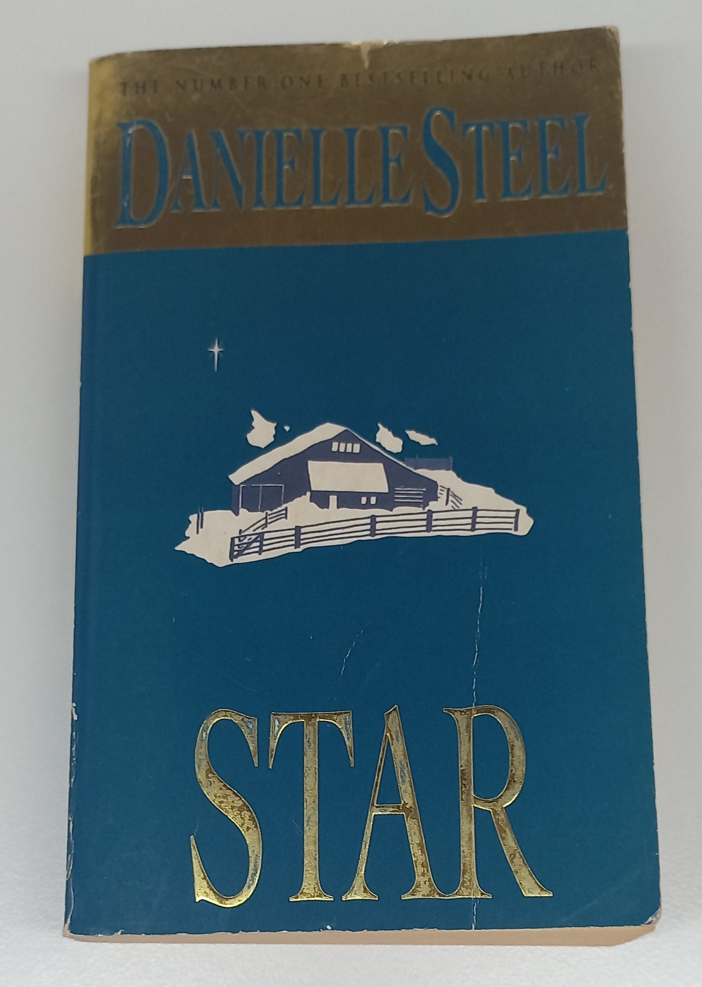 Star by Danielle Steel