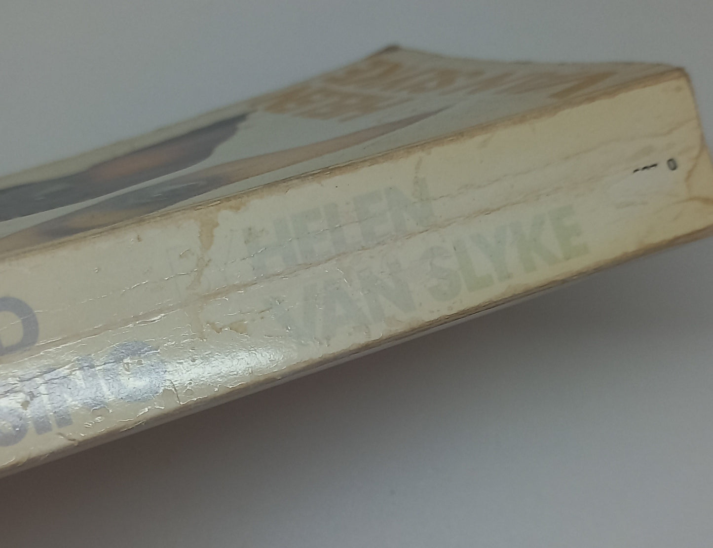 The Mixed Blessing by Helen Van Slyke