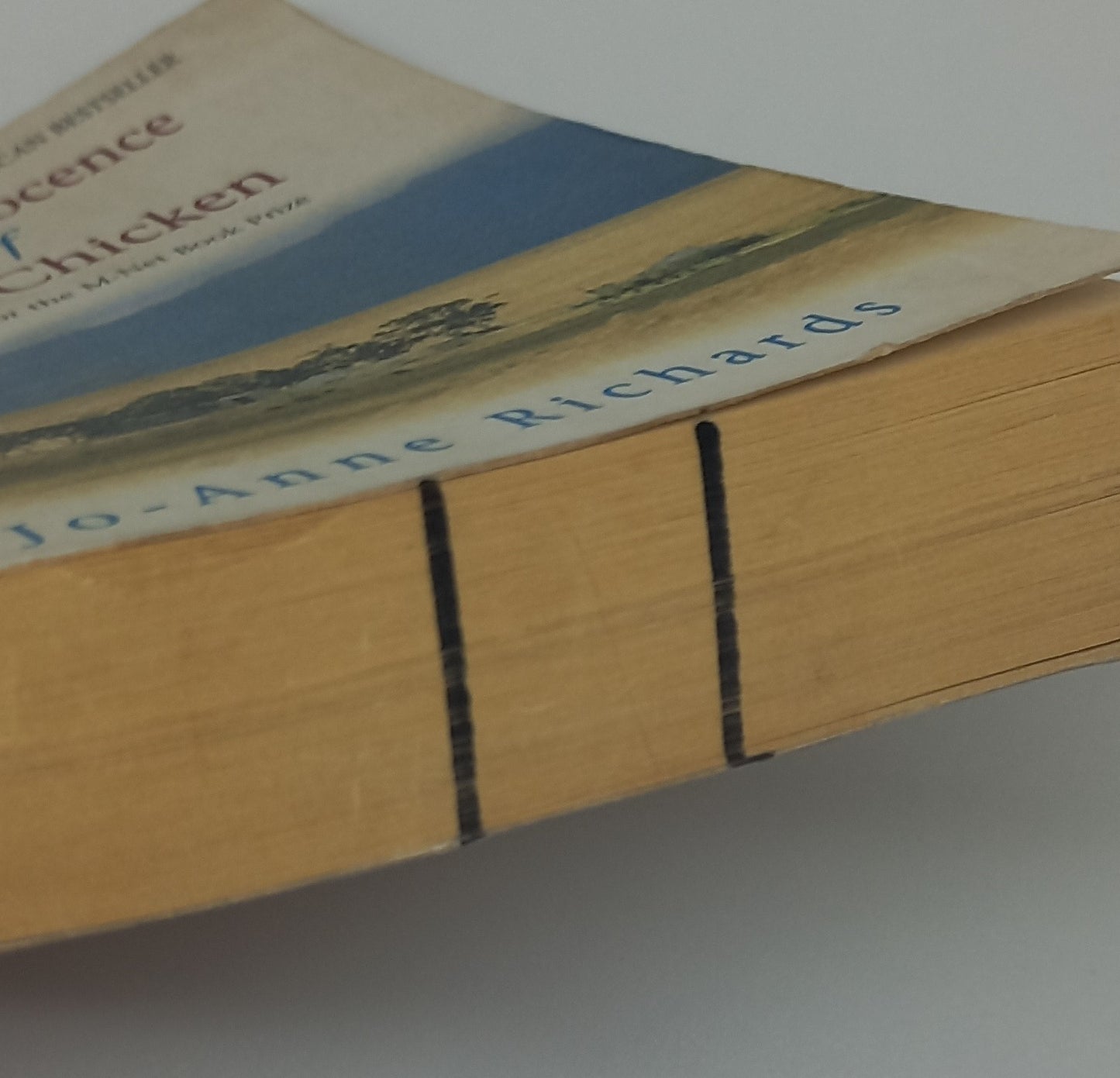 The Innocence of Roast Chicken by Jo-Anne Richards