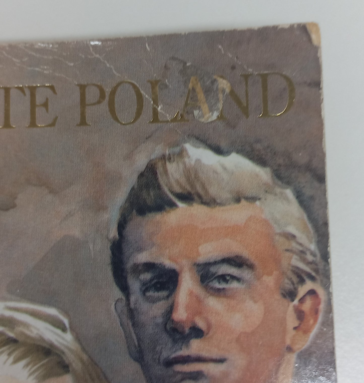 Shades by Marguerite Poland