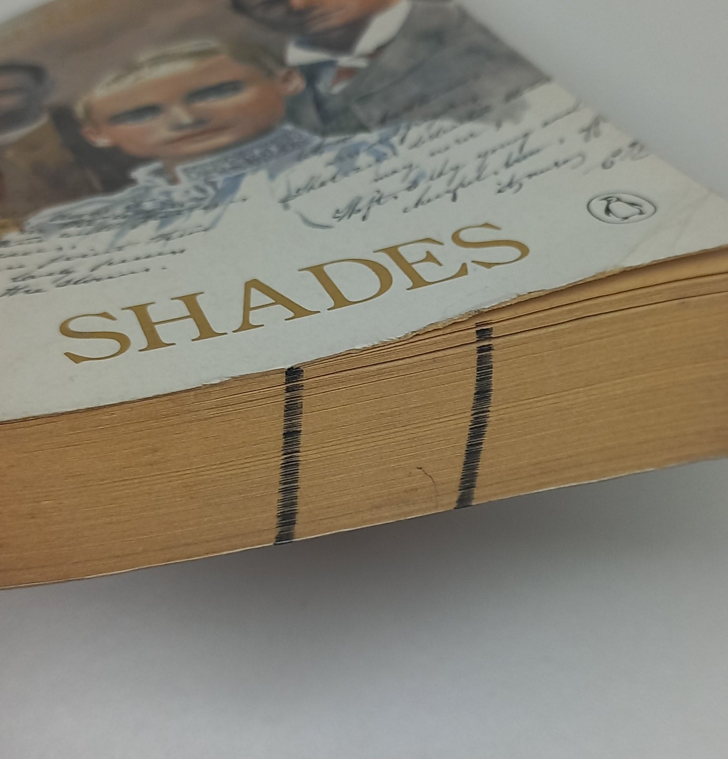 Shades by Marguerite Poland