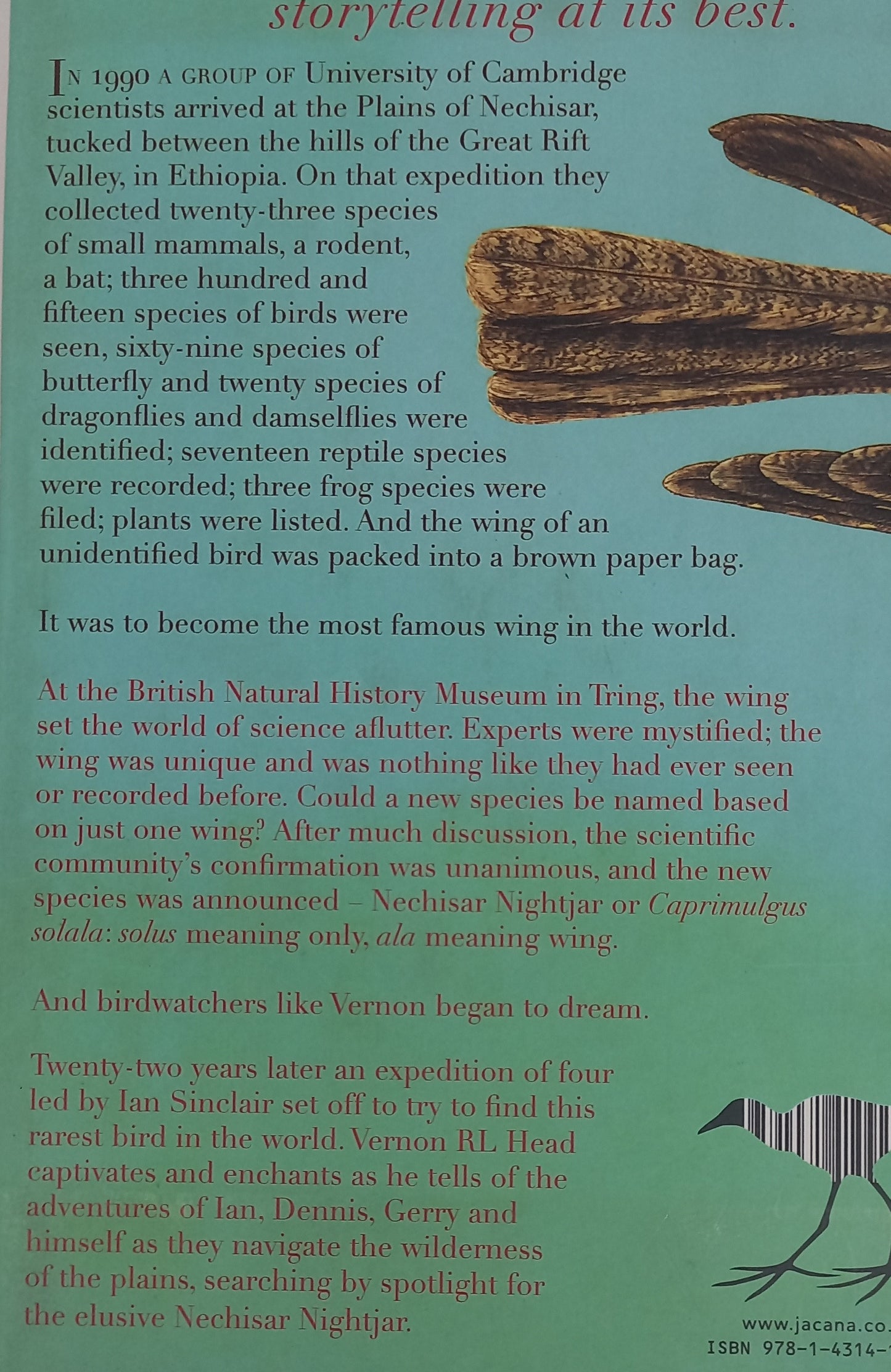 The Search for the Rarest Bird in the World by Vernon R.L. Head