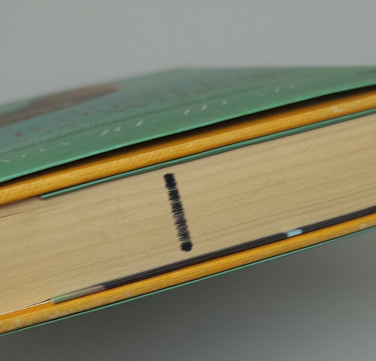 The Search for the Rarest Bird in the World by Vernon R.L. Head