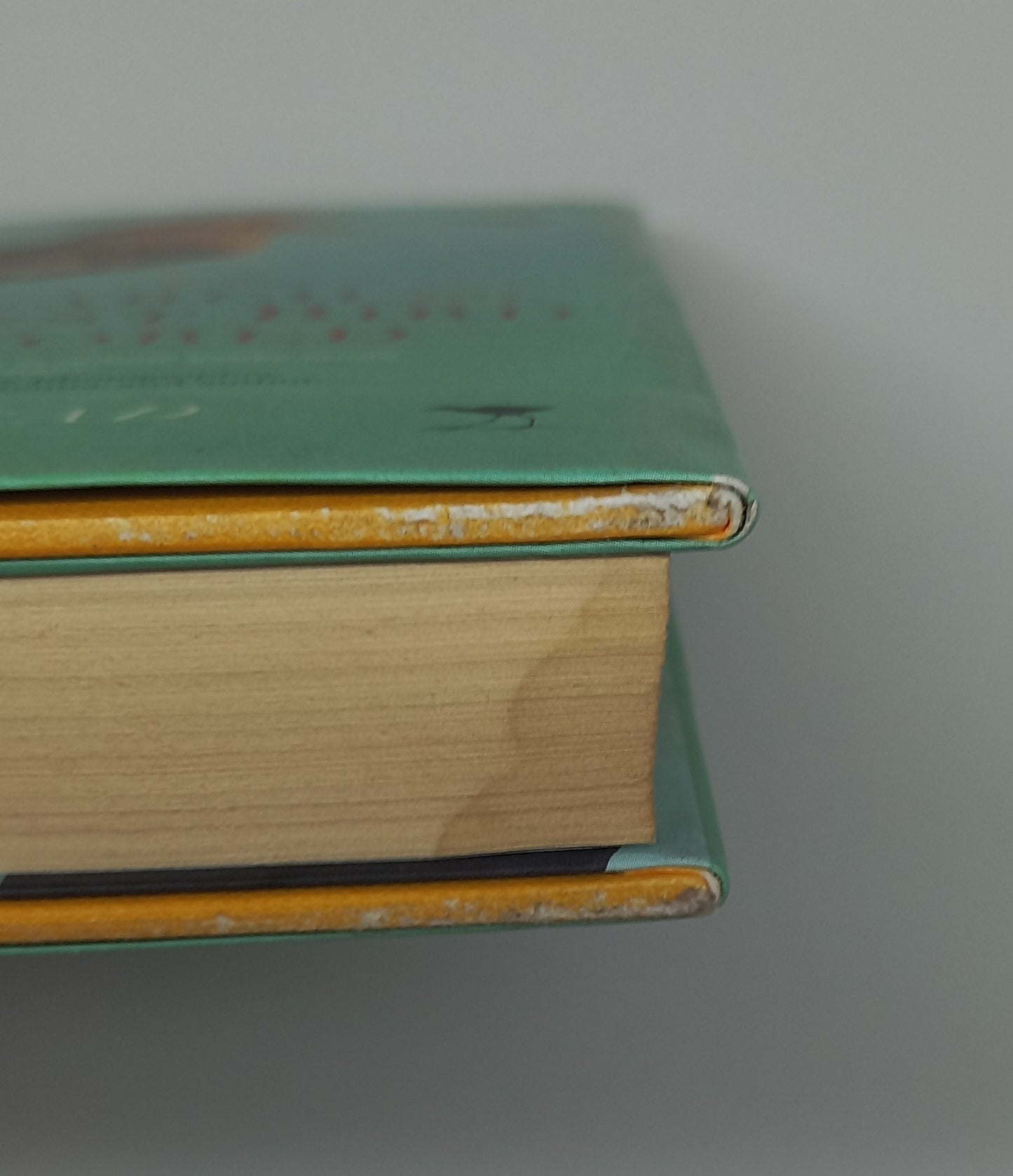 The Search for the Rarest Bird in the World by Vernon R.L. Head