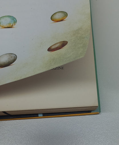 The Search for the Rarest Bird in the World by Vernon R.L. Head