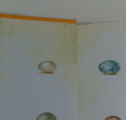 The Search for the Rarest Bird in the World by Vernon R.L. Head