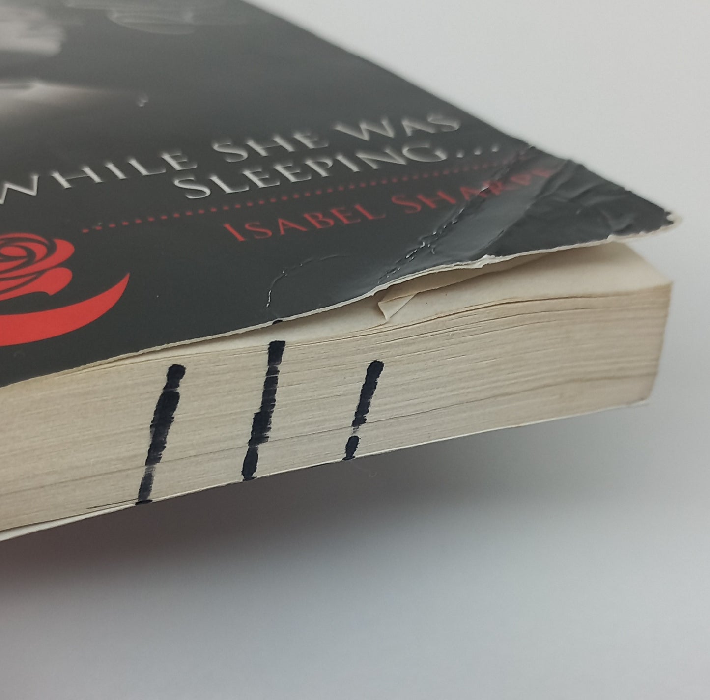 While She Was Sleeping... by Isabel Sharpe (Blaze, Mills & Boon)