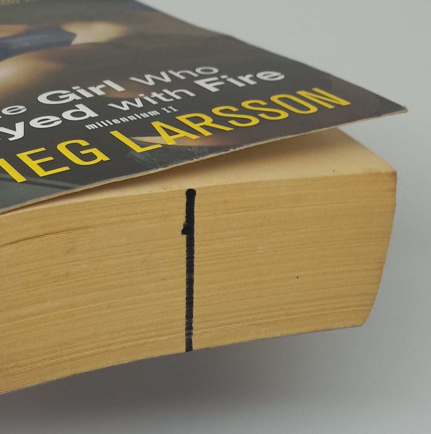 The Girl Who Played with Fire (Millenium #2) by Stieg Larsson