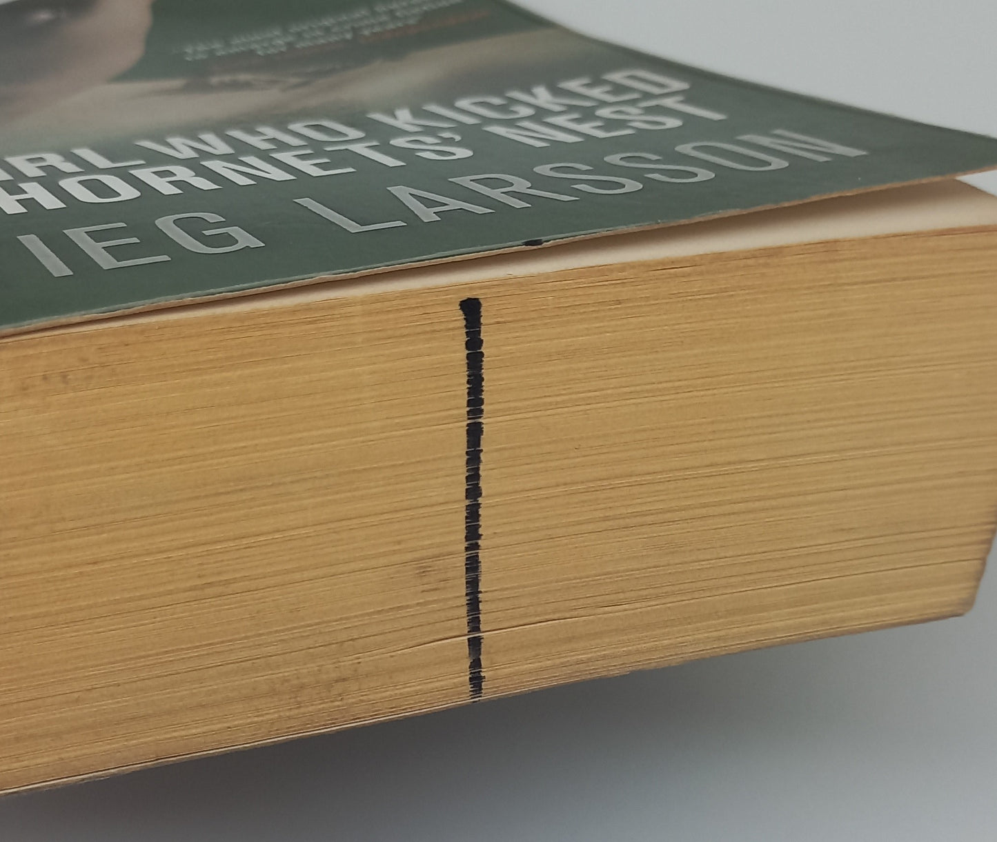 The Girl Who Kicked the Hornet's Nest (Millenium #3) by Stieg Larsson