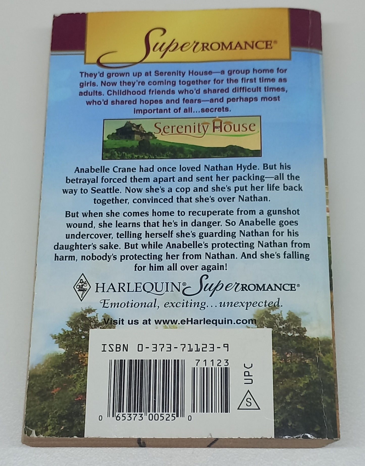 Against The Odds (Serenity House #3) by Kathryn Shay (Harlequin Super Romance)