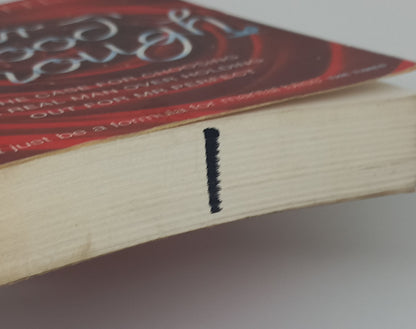 Mr Good Enough: The Case for Choosing A Real Man Over holding Out for Mr Perfect by Lori Gottlieb