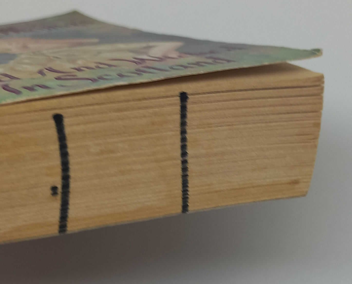 Wild And Wicked in Scotland (Charmed & Dangerous #1) by Melody Thomas