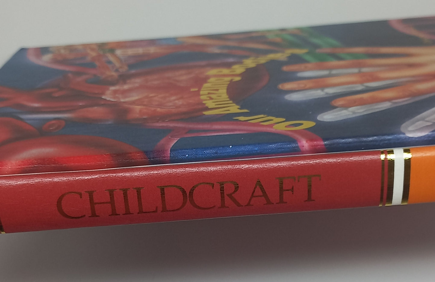 Our Amazing Bodies Childcraft Annual (1996)