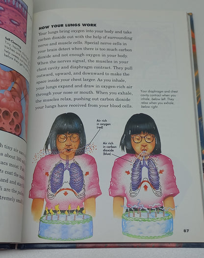 Our Amazing Bodies Childcraft Annual (1996)