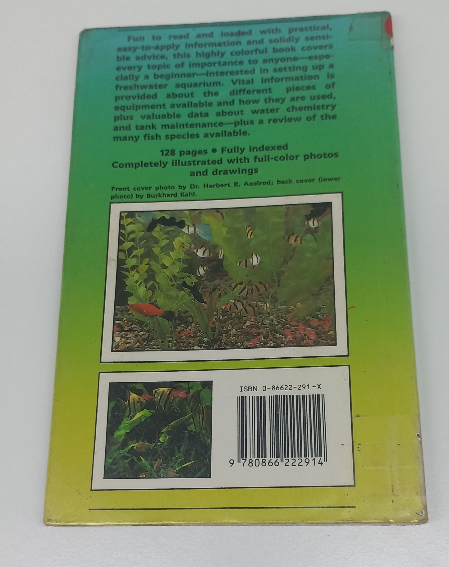 A Complete Introduction to Setting Up An Aquarium by Jim Kelly