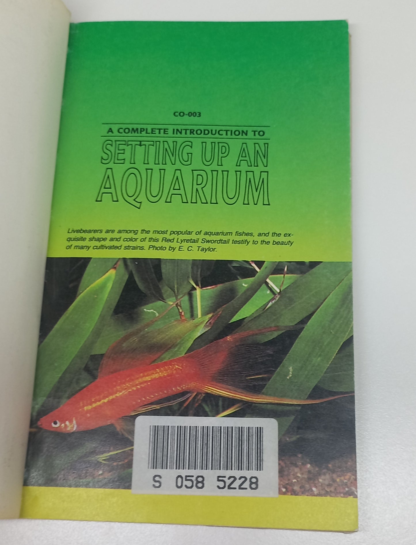 A Complete Introduction to Setting Up An Aquarium by Jim Kelly