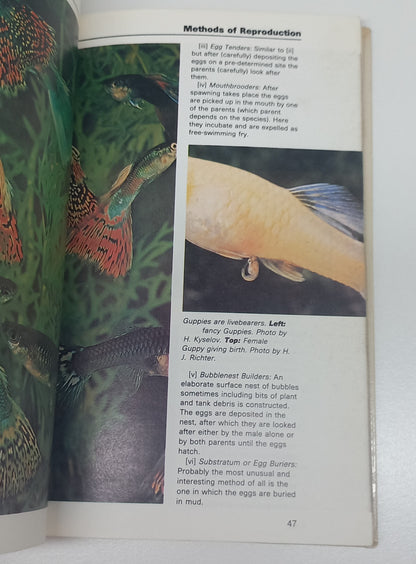 A Complete Introduction to Setting Up An Aquarium by Jim Kelly