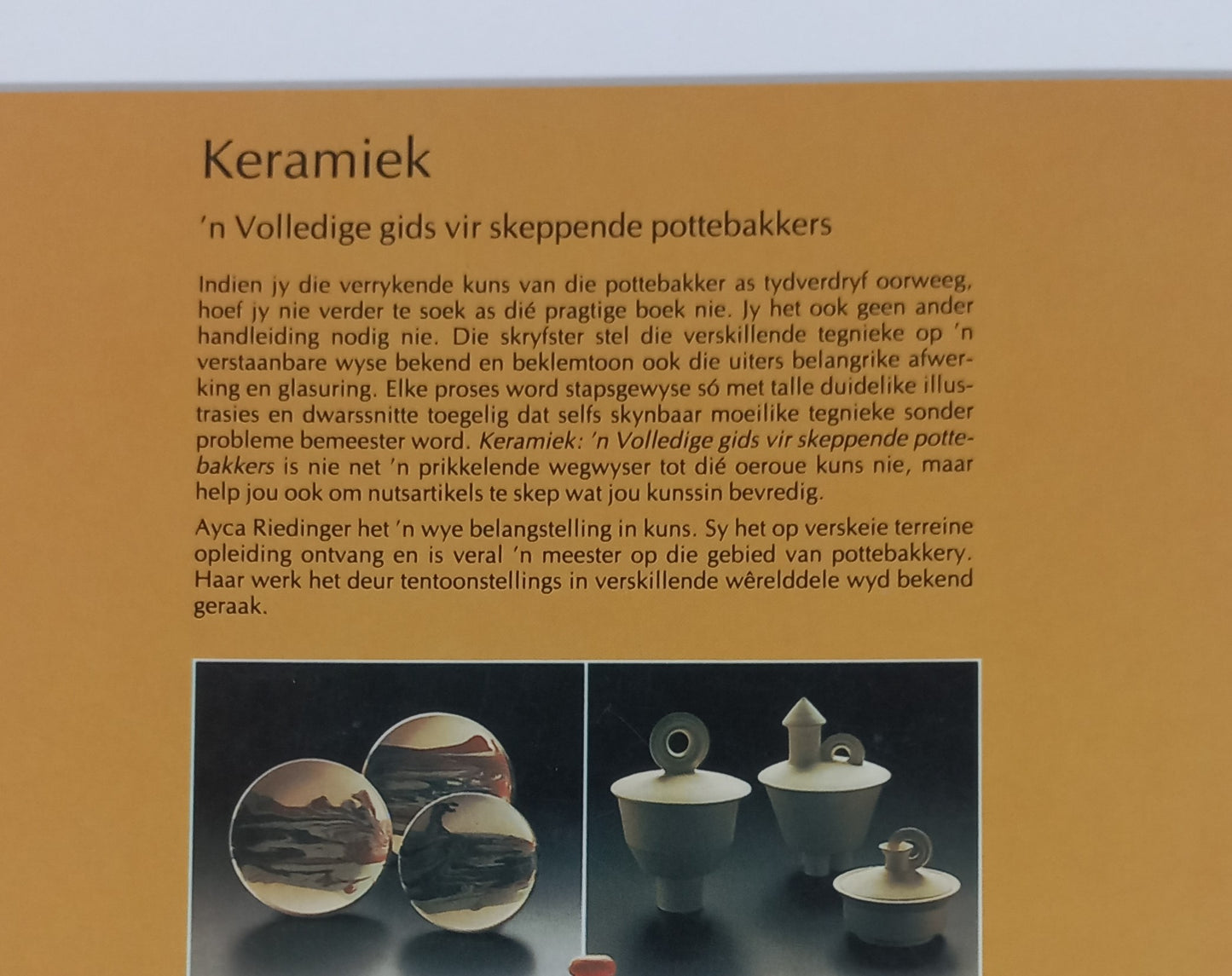 Keramiek: 'n Volledige Gids Vir Skeppende Pottebakkers by Ayca Riedinger
