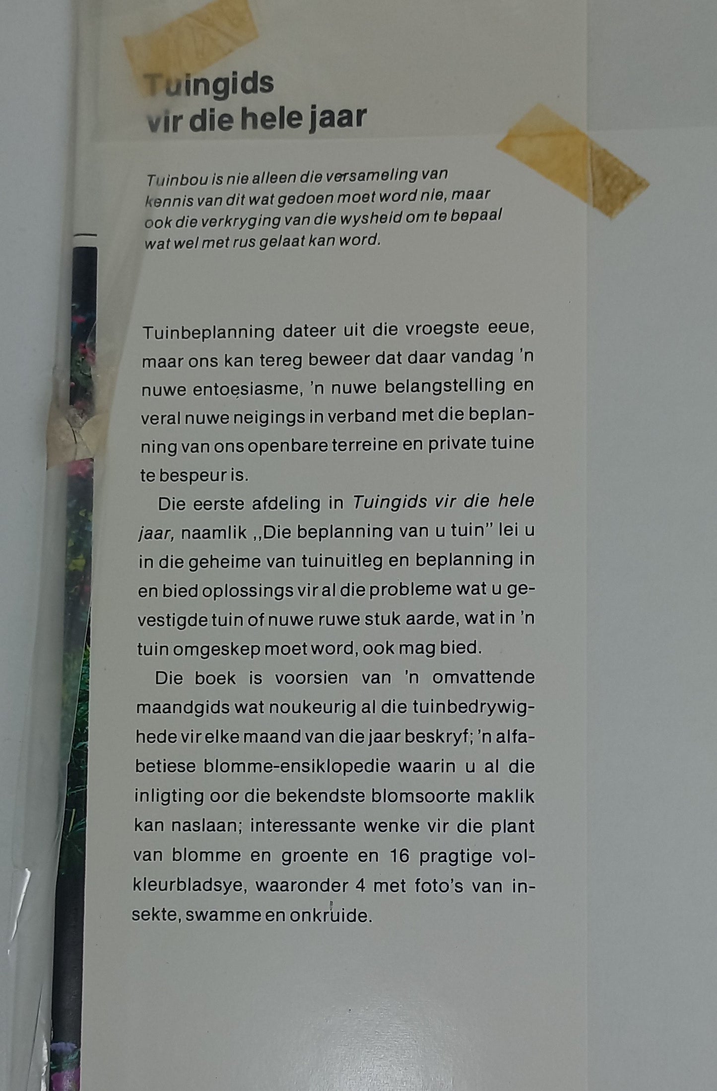 Tuingids Vir Die Hele Jaar by Koos Robbertse, Arthur Stuart & Kol. W.A. Jeffs