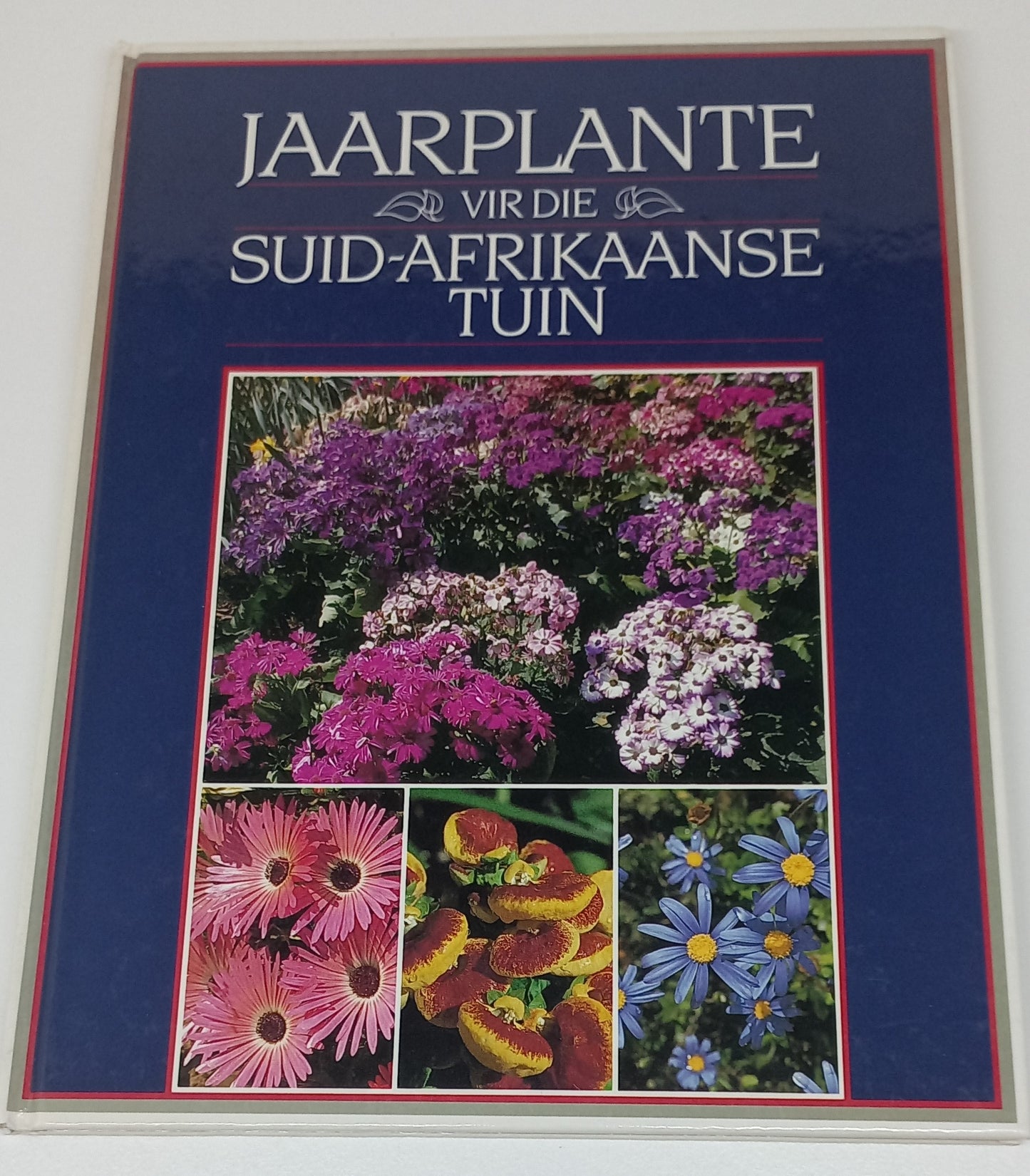 Jaarplante Vir Die Suid-Afrikaanse Tuin by Murray Simpson