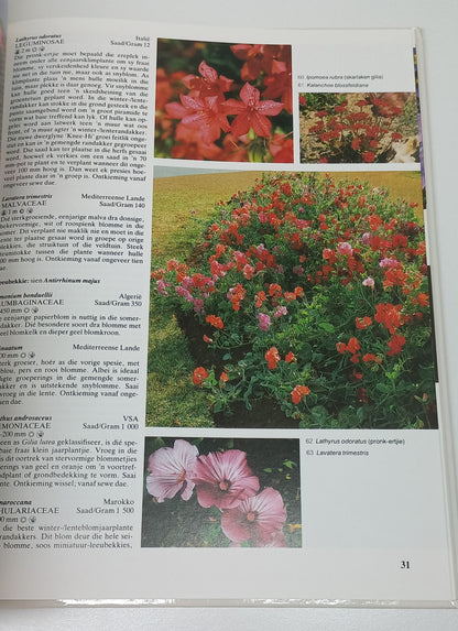 Jaarplante Vir Die Suid-Afrikaanse Tuin by Murray Simpson