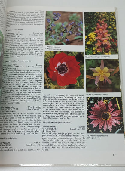 Jaarplante Vir Die Suid-Afrikaanse Tuin by Murray Simpson