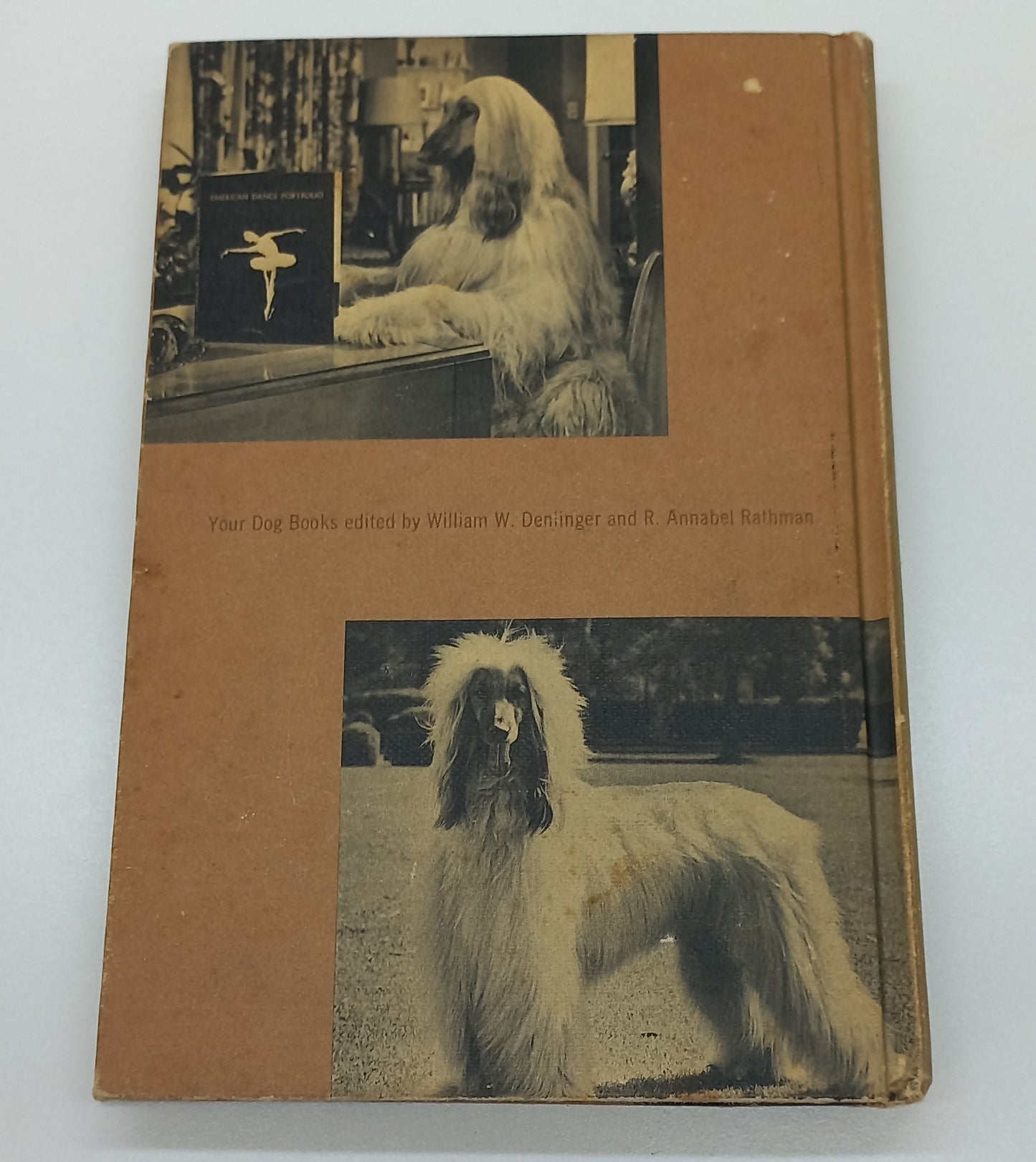Your Afghan Hound by Sue A. Kauffman (1969)