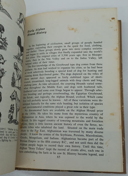 Your Afghan Hound by Sue A. Kauffman (1969)