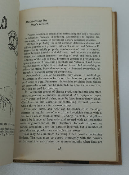 Your Afghan Hound by Sue A. Kauffman (1969)