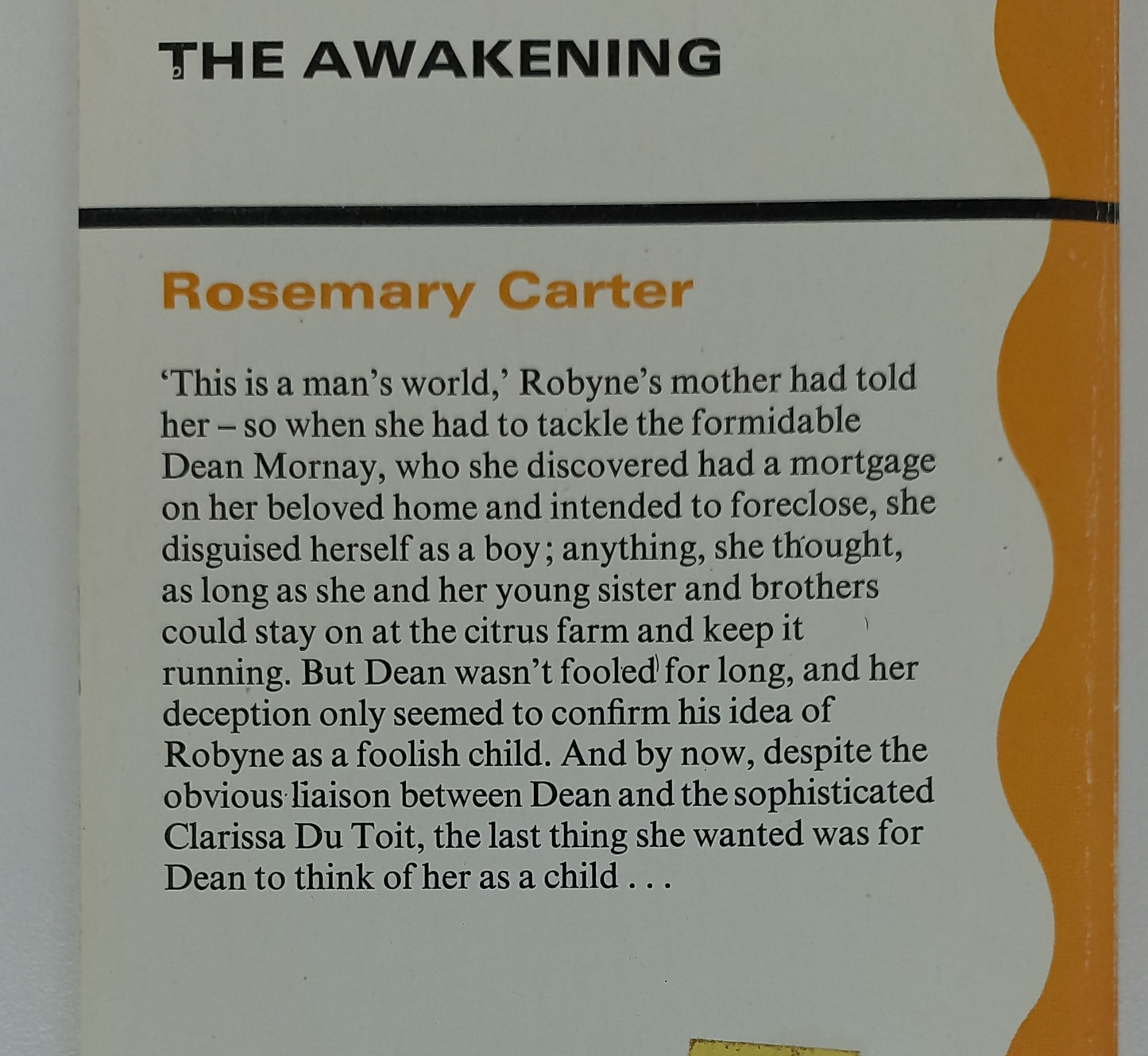 The Awakening by Rosemary Carter Mills & Boon 1979