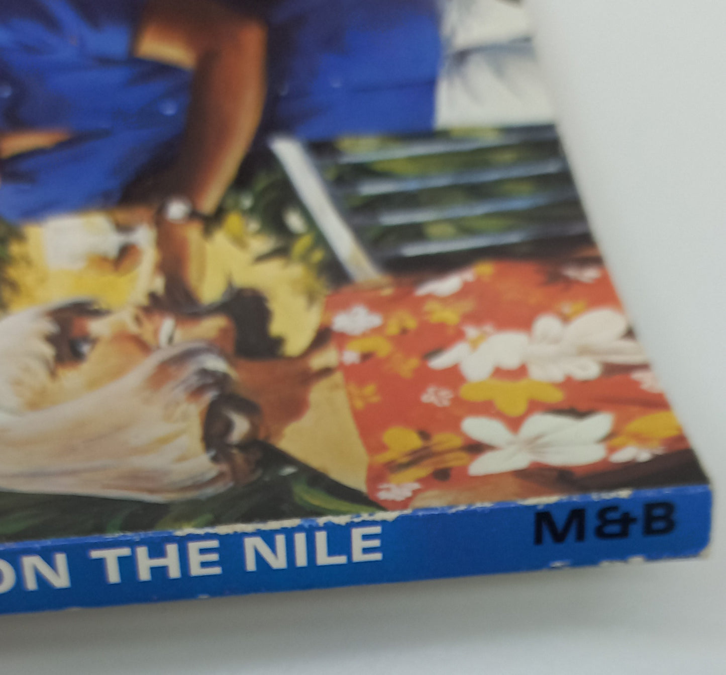 Moonlight on the Nile by Elizabeth Ashton Mills & Boon 1979