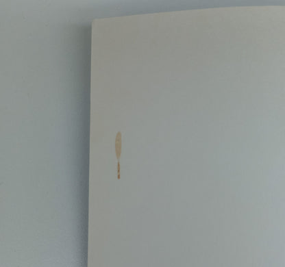 Riding High by Donna King