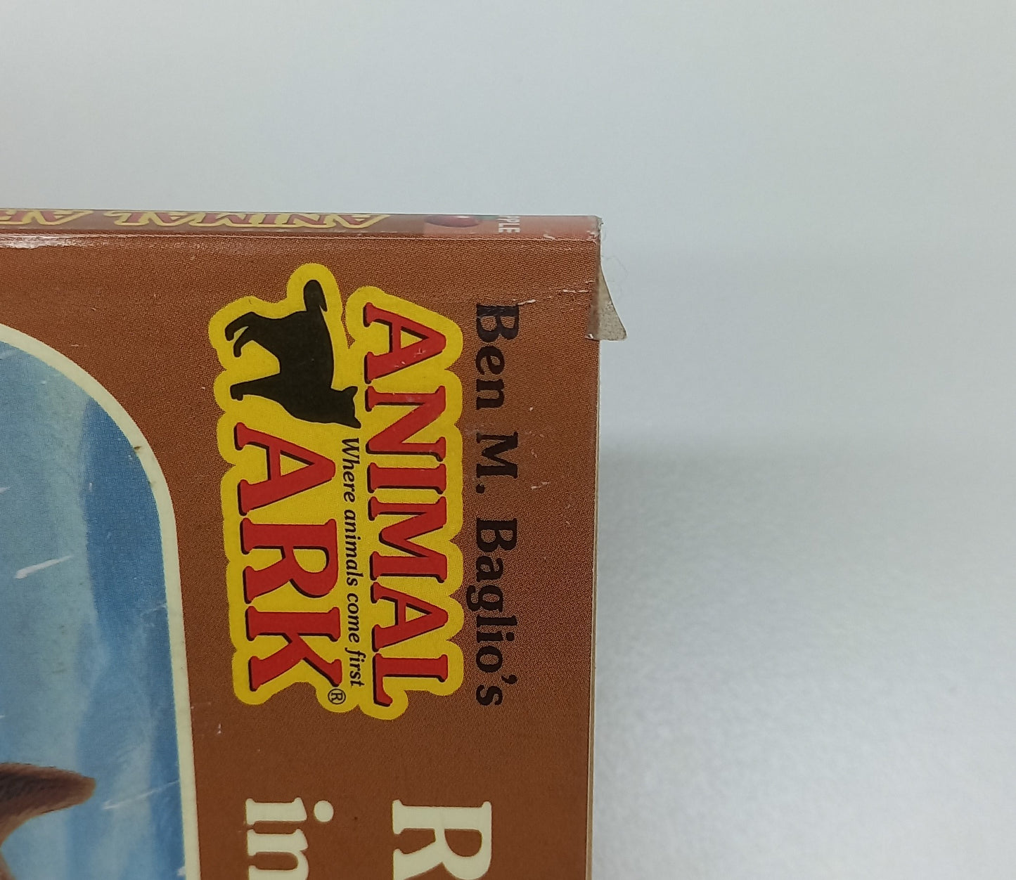 Racehorse in the Rain by Ben M. Baglio (Animal Ark Holiday Special #9)