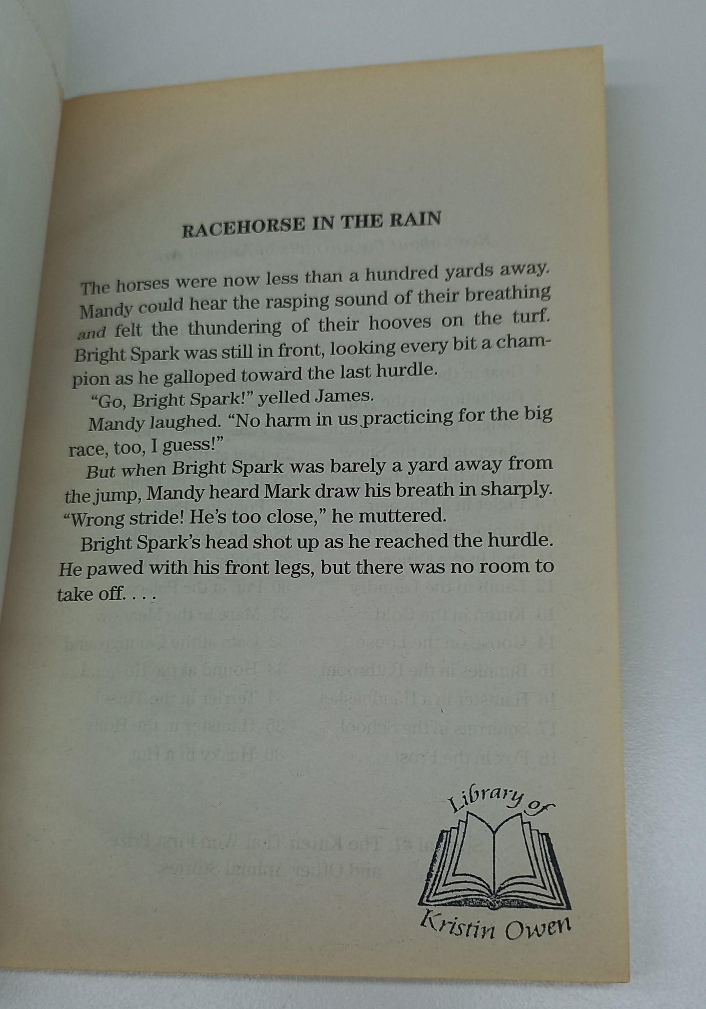 Racehorse in the Rain by Ben M. Baglio (Animal Ark Holiday Special #9)