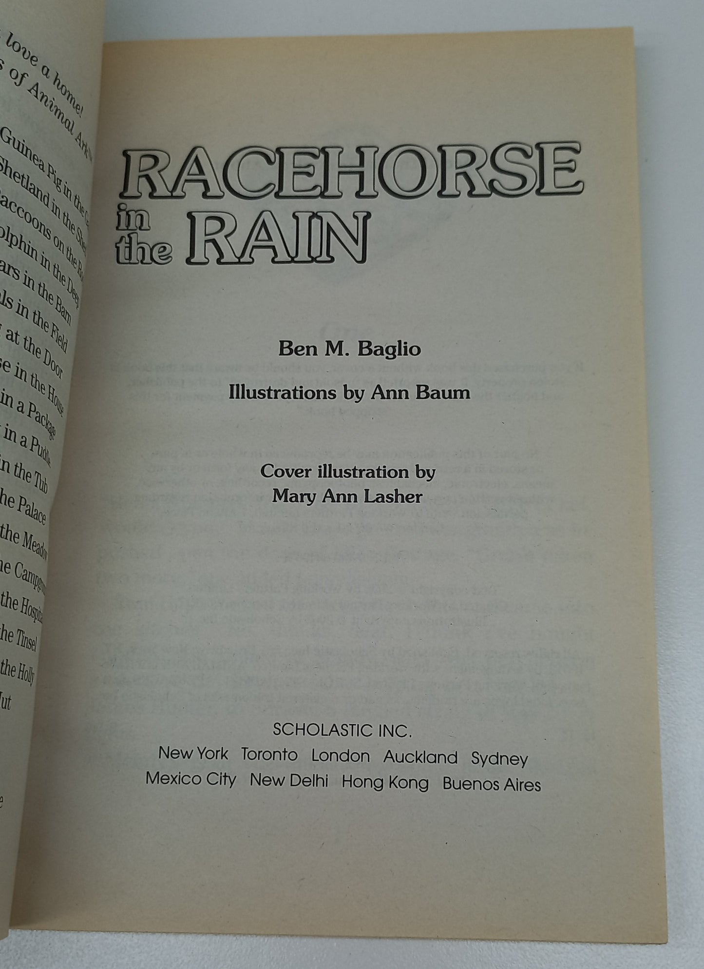 Racehorse in the Rain by Ben M. Baglio (Animal Ark Holiday Special #9)