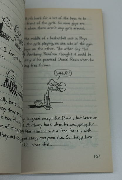 The Third Wheel by Jeff Kinney (Diary of a Wimpy Kid #7)
