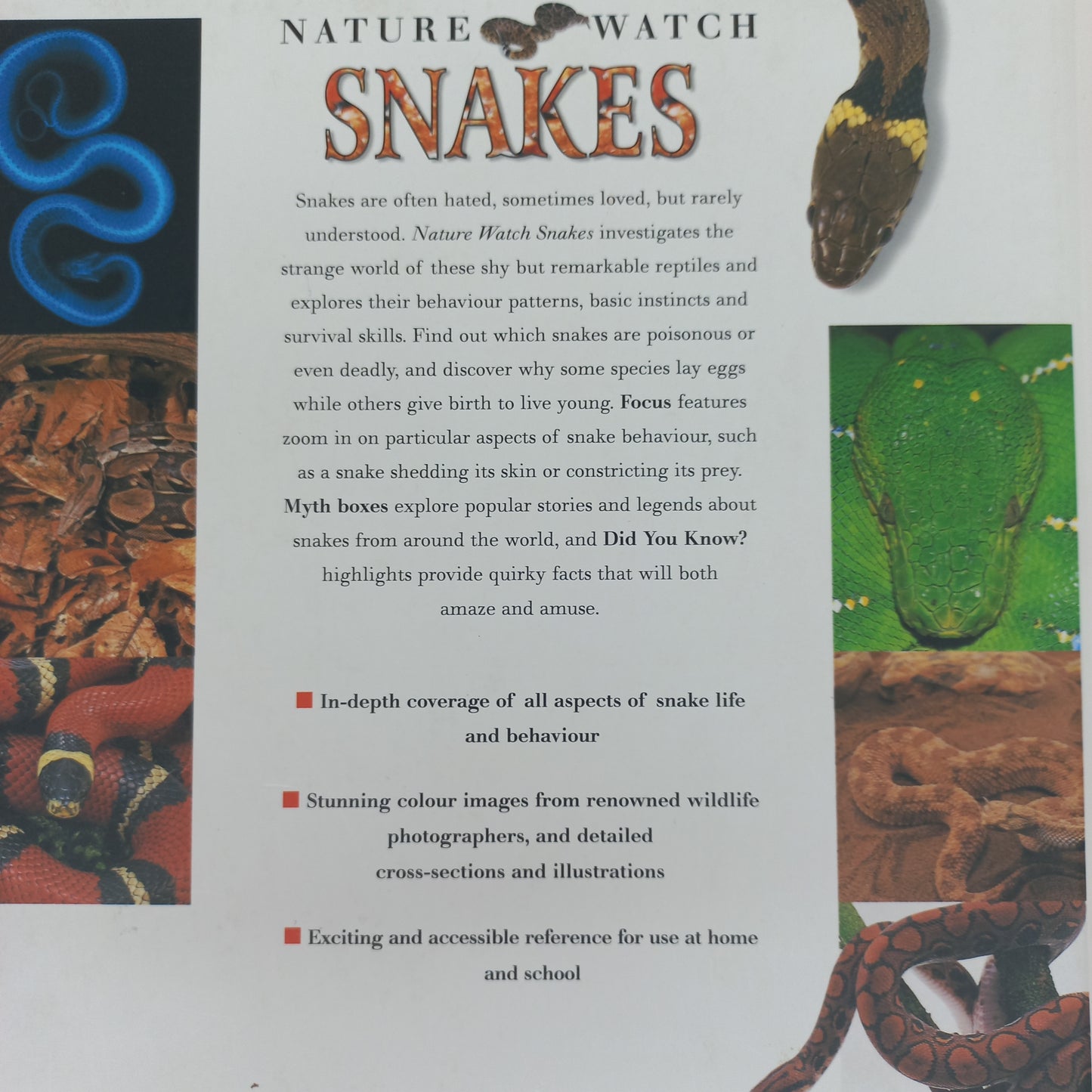 Nature Watch: Snakes by Barbara Taylor