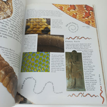 Nature Watch: Snakes by Barbara Taylor